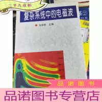 正 九成新复杂系统中的电磁波