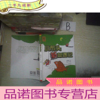 正 九成新小布头新奇遇记