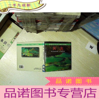 正 九成新黄龙.