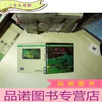 正 九成新黄龙.