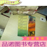 正 九成新哈密旅游指南