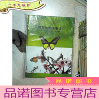 正 九成新景德镇蝴蝶鉴赏 .