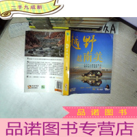 正 九成新越野越南美 .