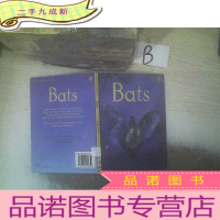 正 九成新Bats /蝙蝠 (01)