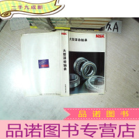 正 九成新NSK 大型滚动轴承