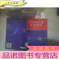 正 九成新中国电信业发展指导:2004