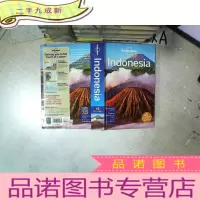 正 九成新Indonesia LONELY PLINET 印尼独木柱 大32开 01