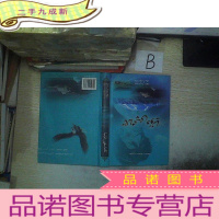 正 九成新冰山梦想 (A02).