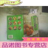 正 九成新中式点心大全