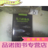 正 九成新车八岭鱼类及常见底栖动物图鉴 . .. .