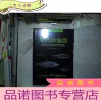 正 九成新车八岭鱼类及常见底栖动物图鉴 . 。。