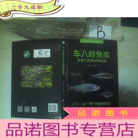 正 九成新车八岭鱼类及常见底栖动物图鉴 .