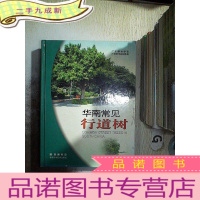 正 九成新华南常见行道树