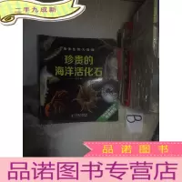正 九成新珍贵的海洋活化石