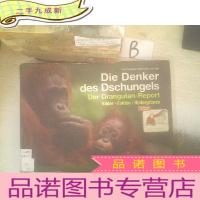 正 九成新DIE DENKER DES DSCHUNGELS DER ORANGUTAN REPORT /红毛猩猩的丹