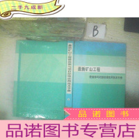 正 九成新矿山工程 建造师与项目经理实用技术手册 2 ..