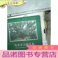 正 九成新茂名市古树名木