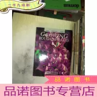 正 九成新GROWING BUGAINVILLEAS生长沙棘、。