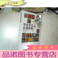 正 九成新华南常见景观植物