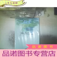 正 九成新海岛旅游开发规划要略