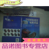 正 九成新中国贸易龟类检索图鉴
