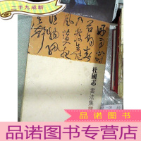 正 九成新杜国志书法集