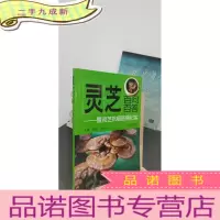 正 九成新灵芝百问百答