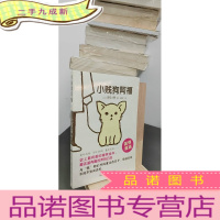 正 九成新小贱狗阿福