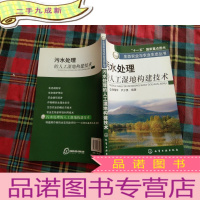 正 九成新污水处理的人工湿地构建技术