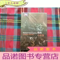 正 九成新光盘,隐形小世界 未开封 DVD