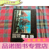 正 九成新魂系黑土地