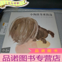 正 九成新小狗波奇来海边