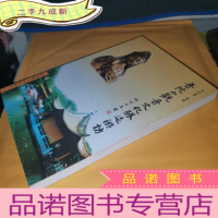 正 九成新普陀山观音文化胜迹游访