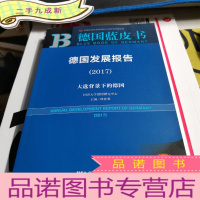 正 九成新皮书系列·德国蓝皮书:德国发展报告(2017)