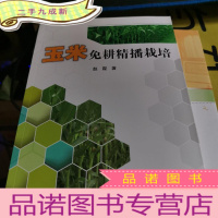 正 九成新玉米免耕精播栽培