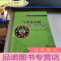 正 九成新气井水合物监测与预警