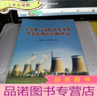 正 九成新臭氧和气溶胶浓度变化对农作物的影响研究