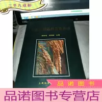 正 九成新中国水稻品种及其系谱