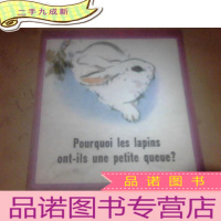 正 九成新兔子尾巴为啥这样短( 法文版)