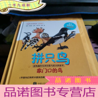 正 九成新拼只鸟 超有趣的鸟类科普与积木拼搭书