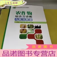 正 九成新农作物病虫害诊断与防治图谱