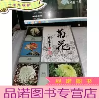 正 九成新菊花