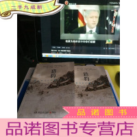 正 九成新猎豹上下册