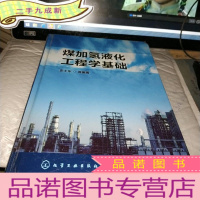 正 九成新煤加氢液化工程学基础