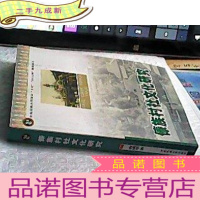 正 九成新傣族村社文化研究[作者签赠本]