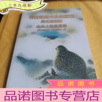 正 九成新山尖上的星星湖