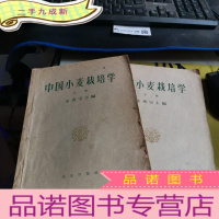 正 九成新中国小麦栽培学 上下