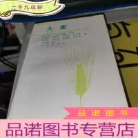 正 九成新大麦
