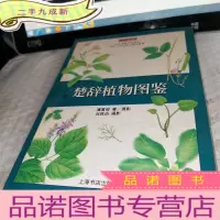 正 九成新楚辞植物图鉴