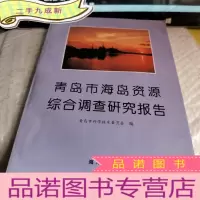 正 九成新青岛市海岛资源综合调查研究报告